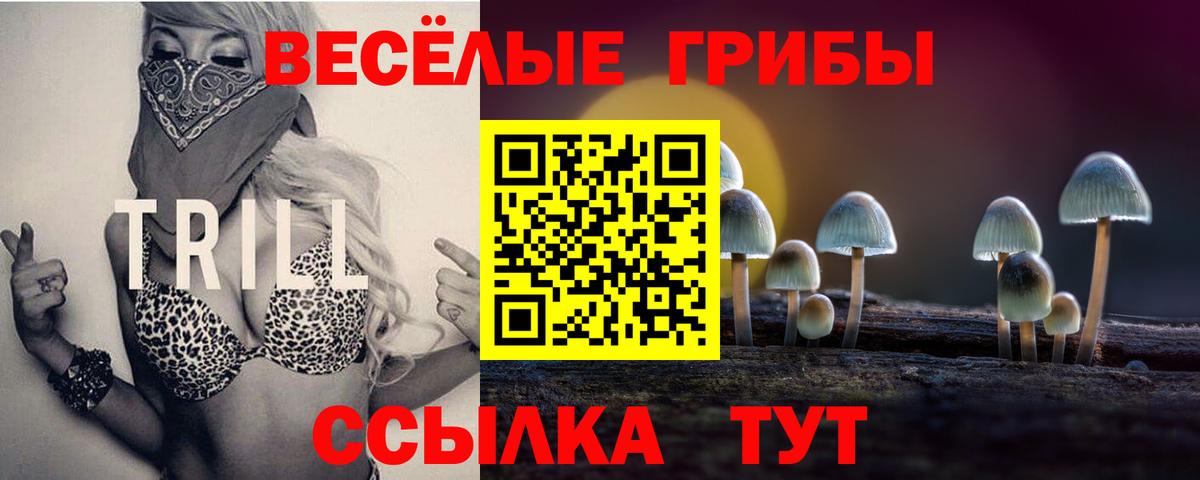Псилоцибиновые грибы MAGIC MUSHROOMS Шарыпово